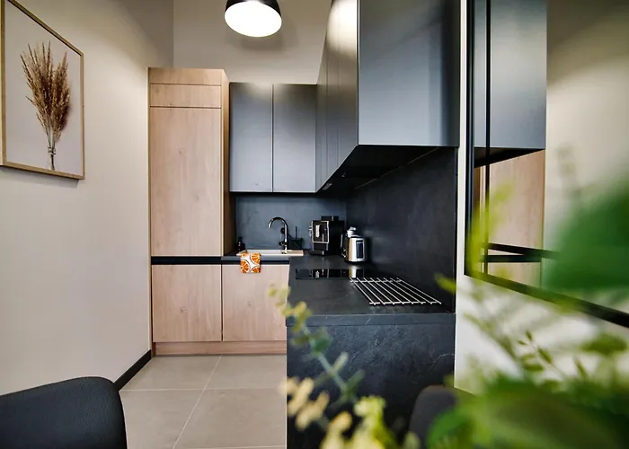 Laguna Beskidow - C50 Apartment Zarzecze (Silesia)